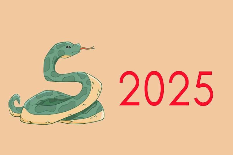Năm 2025 là năm con gì, mệnh nào? Tuổi sinh con đẹp nhất?
