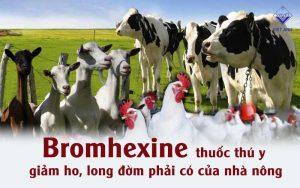 Bromhexine thuốc thú y giảm ho, long đờm phải có của nhà nông