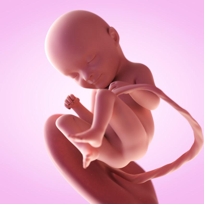 Khi thai nhi 32 tuần, mẹ bầu nên lưu ý và chuẩn bị những gì?