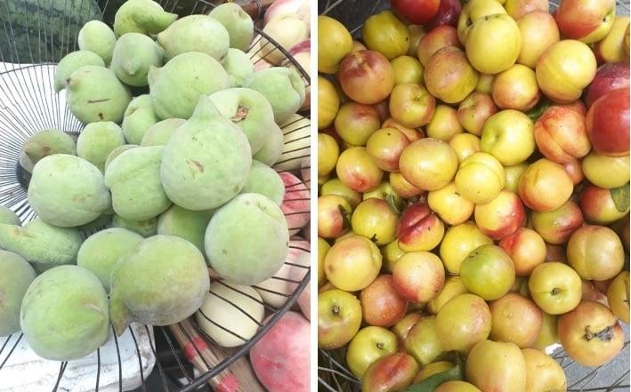 Cách phân biệt 5 loại trái cây Trung Quốc với hàng Việt Nam