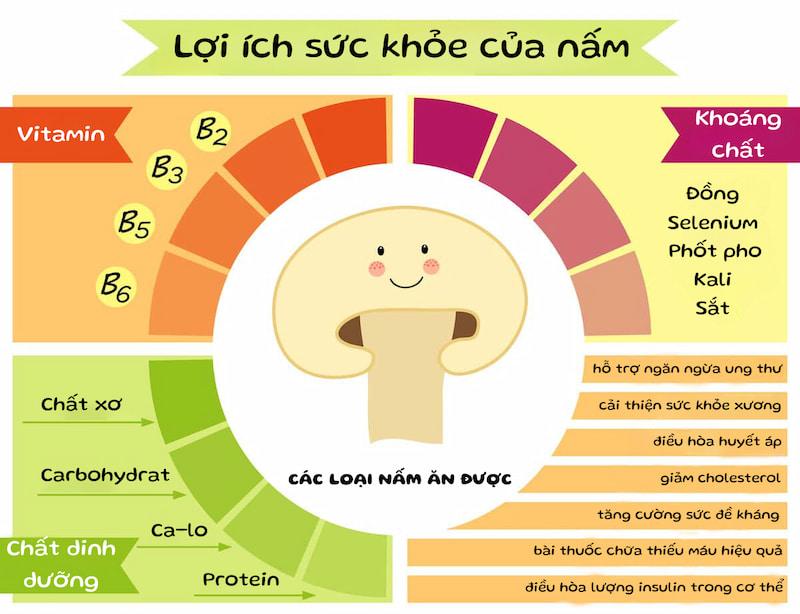 Danh sách 18 loại nấm ăn được của Việt Nam và thế giới