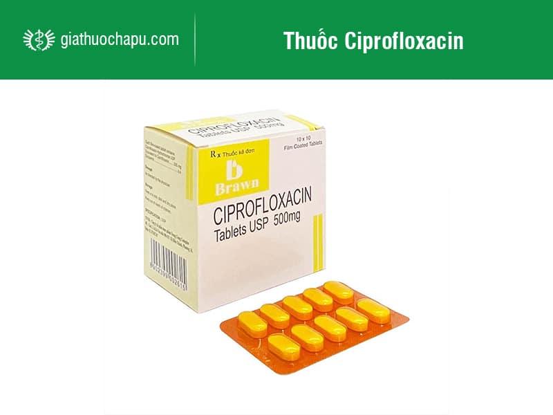 Thuốc Ciprofloxacin là gì? Tác dụng và cách sử dụng hợp lý