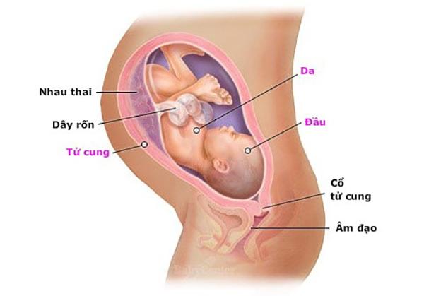 Tổng hợp dấu hiệu thai nhi quay đầu đảm bảo chuẩn xác 100%
