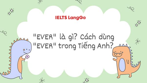 Trọn bộ kiến thức về cách dùng “Ever” và “Never” trong tiếng Anh