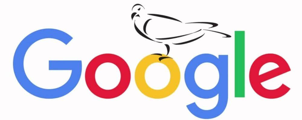 Google Pigeon là gì? Những điều cần biết về thuật toán Pigeon