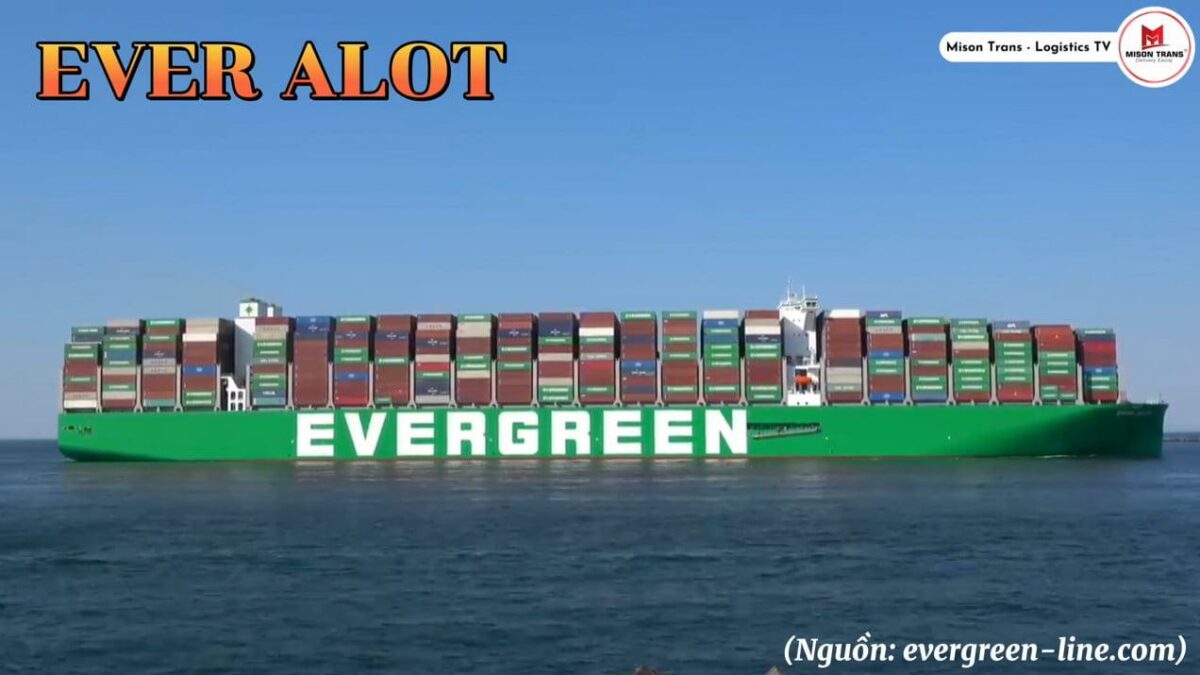 TOP 3 con tàu chở container lớn nhất thế giới