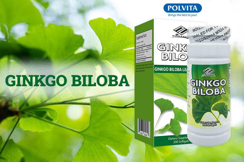 Uống Ginkgo Biloba trong bao lâu đem lại hiệu quả tốt nhất
